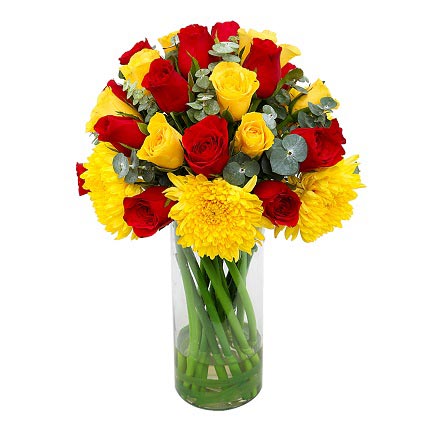 Colourful Blooms