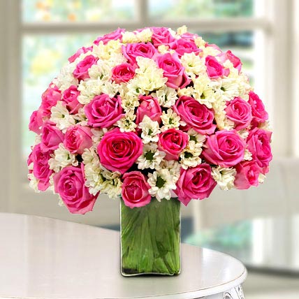 Special Delight