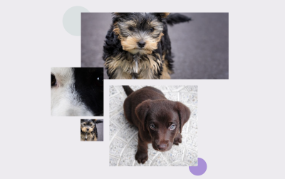 Swipey Image Grids