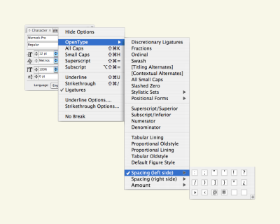 A software screengrab of Adobe InDesign’s OpenType window, with 3 new options: 1st: an option to paste in characters to add space on the left side, 2nd: an option to paste in characters to add space on the right side, then an amount option.