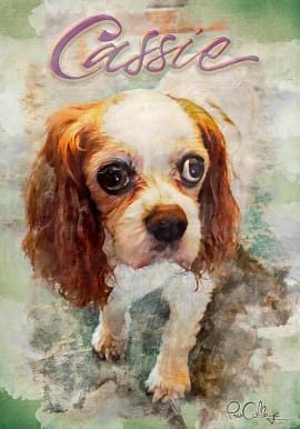 Picture to canvas print art memorial for family pet dog