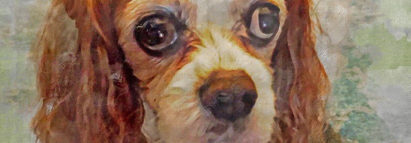 Picture of dog made into painting art prints