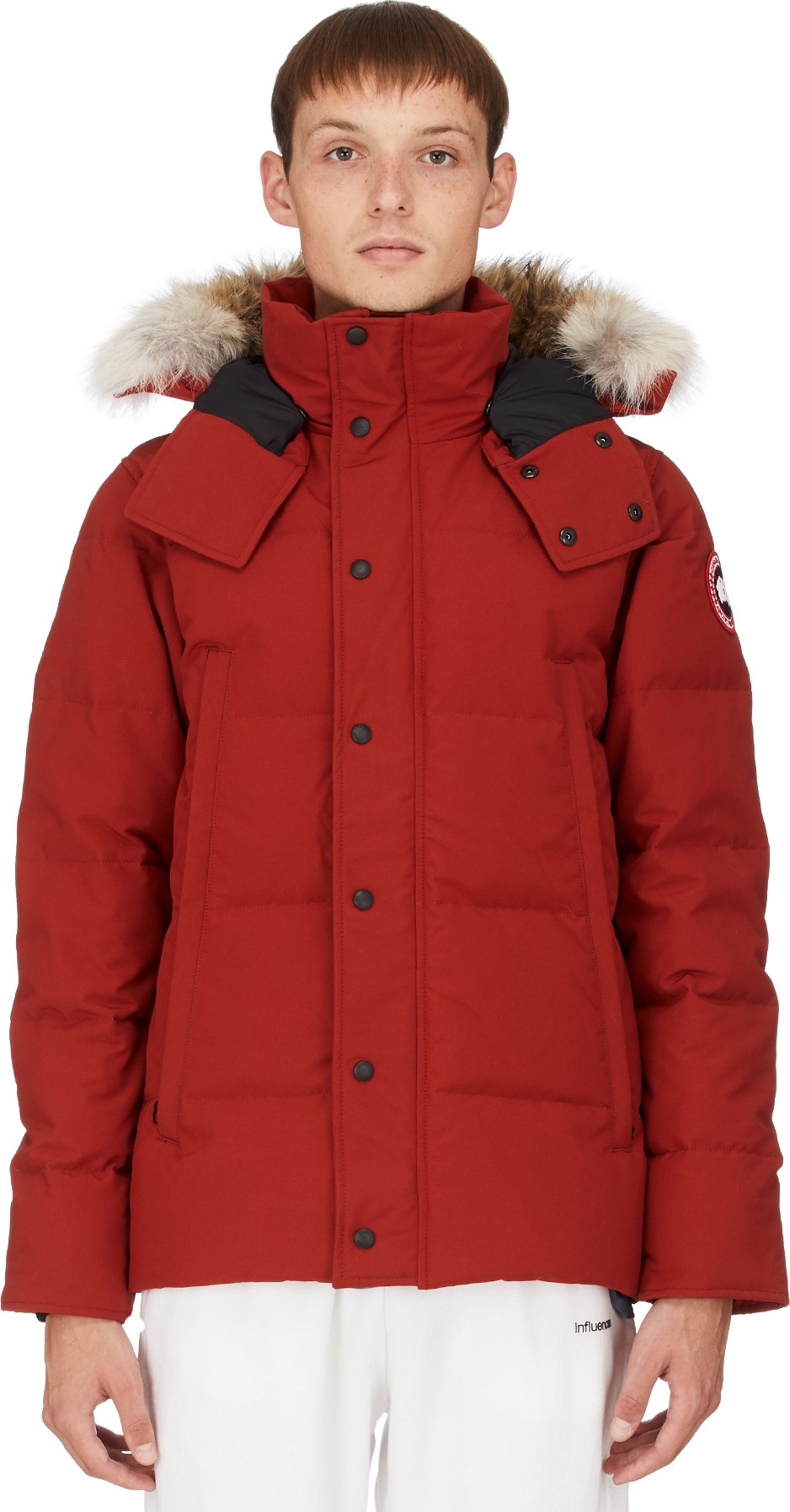 red maple canada goose