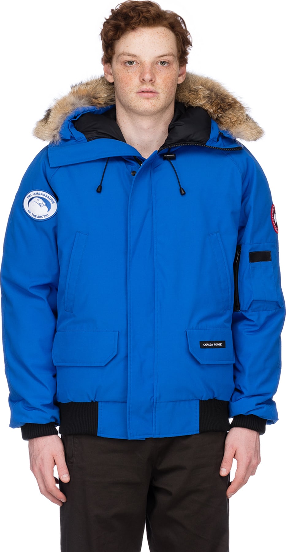 chilliwack bomber blue