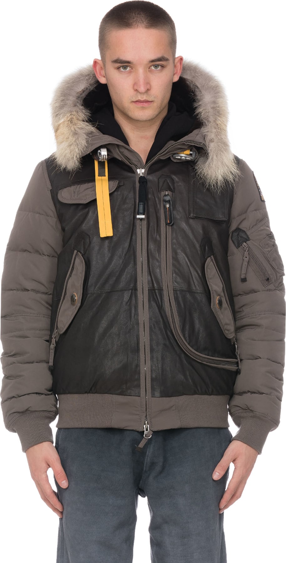 parajumper grizzly jacket