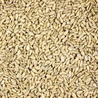 WHEAT LABORATORY TECHNICIAN