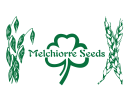 Melchiorre Seeds