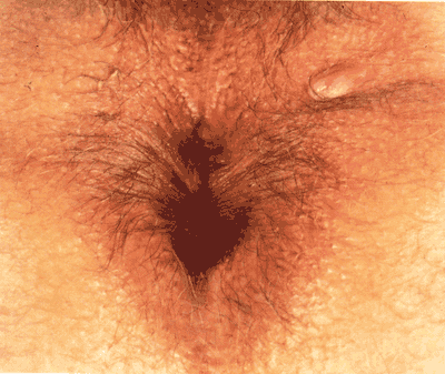 Osetiya porno tomosha