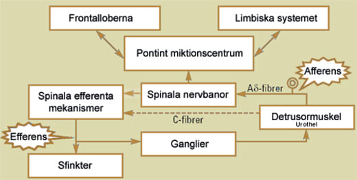 Drooling porno kompilyatsiya