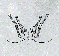 Ayol surati bilan sikni xohlaydi