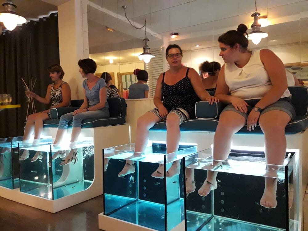 Gotic Barcelone Massage par des poissons