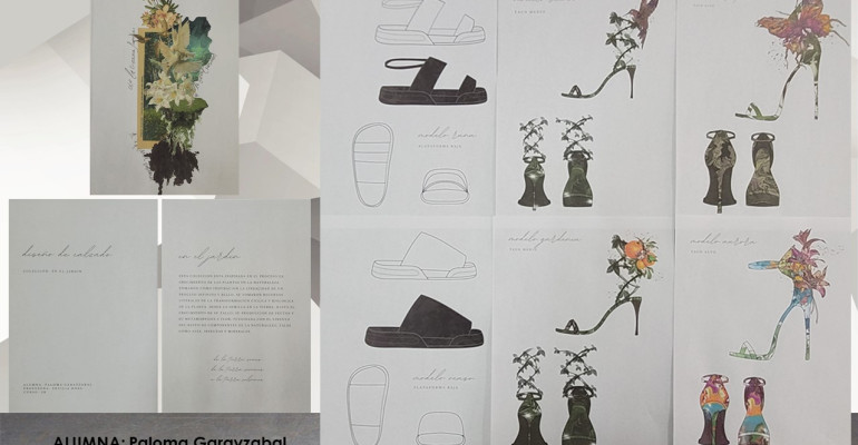 CARRERA: TECNICATURA SUPERIOR EN DISEÑO DE MODA, TEXTIL E INDUMENTARIA