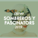 SOMBREROS Y FASCINATORS