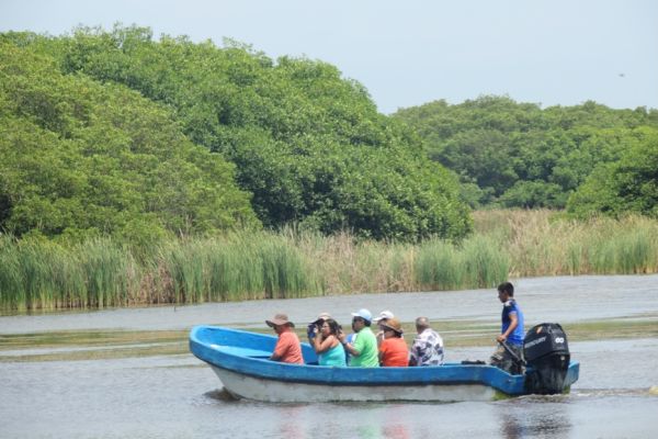 Estero Palo Verde