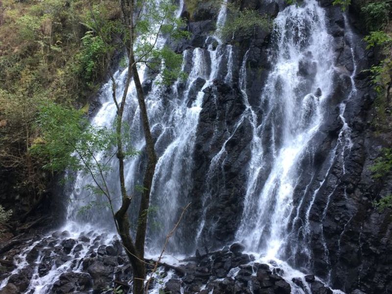 Una Experiencia Única