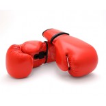 Leather_Boxing_Glove-155x155_z7ufuu.jpg