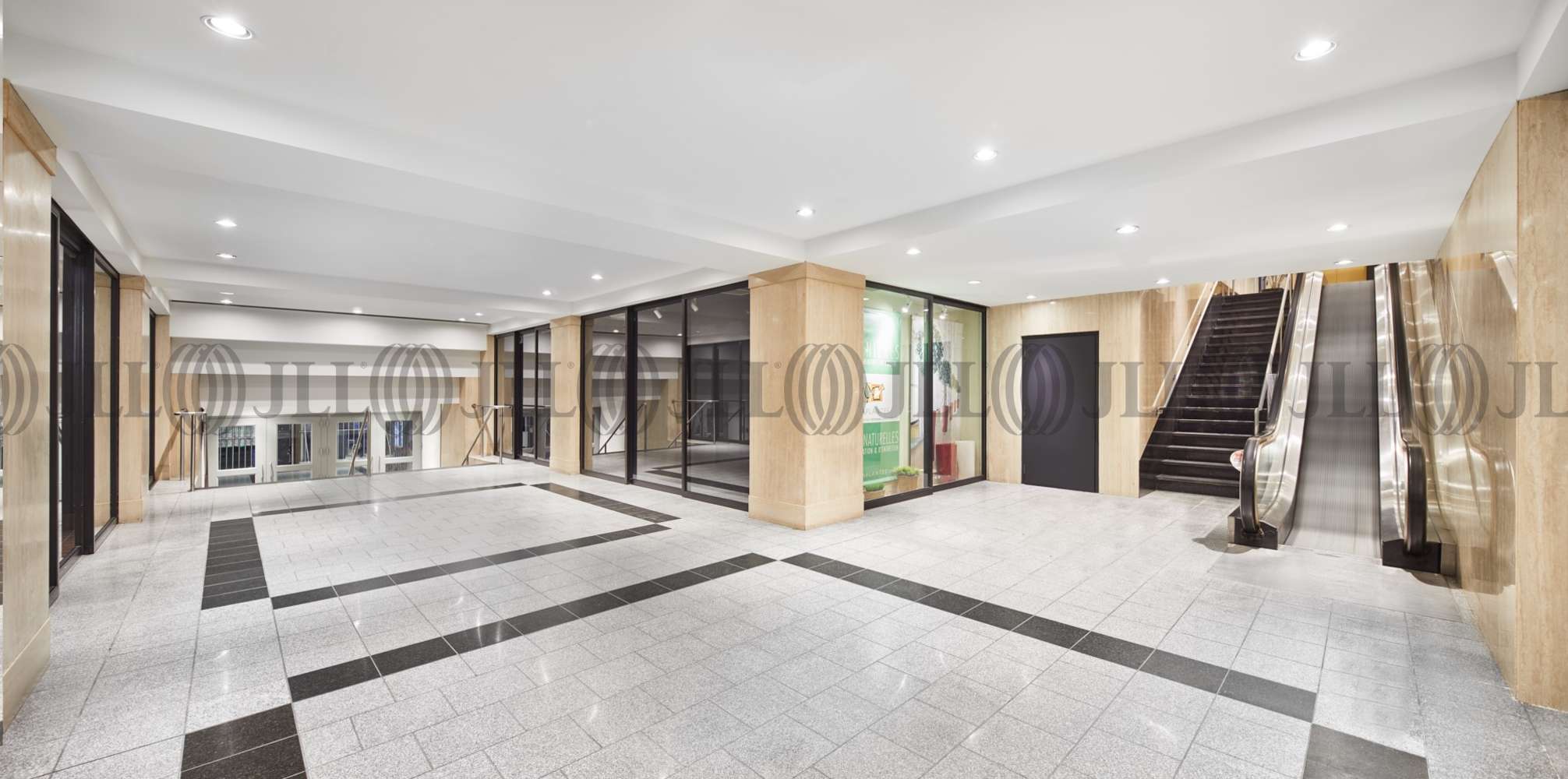 Builtout loft Style, Montreal 1253 McGill College Avenue JLL