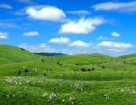 Akiyoshi-dai Plateau Area