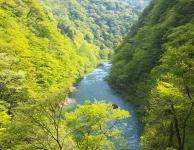 Dakigaeri Gorge
