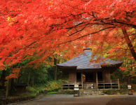 Chuson-ji Temple-AUT