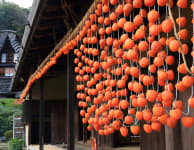 Japan Open-Air Folk House Museum