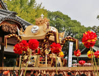 Nada no Kenka Matsuri