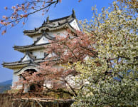 uwajima castle