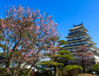 shimabara castle