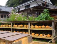 Ontayaki no Sato Ontayaki Pottery Village