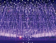 Ashikaga Flower Park