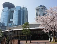Akasaka Sacas