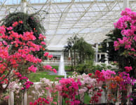 Flower Park Kagoshima