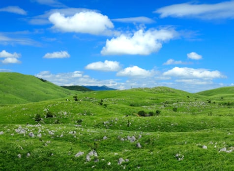 Akiyoshi-dai Plateau Area