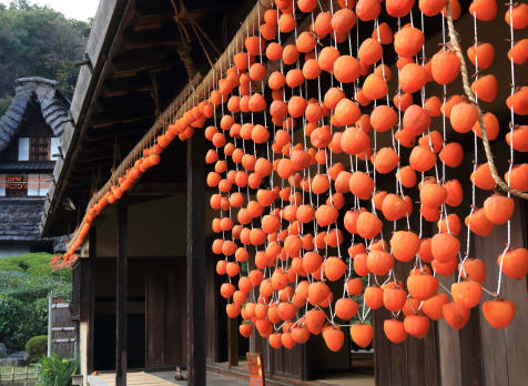 Japan Open-Air Folk House Museum