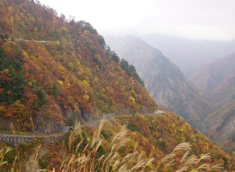 Hakusan Shirakawa-go White Road