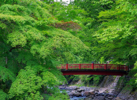 Shuzen-ji Area