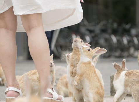 Okunoshima