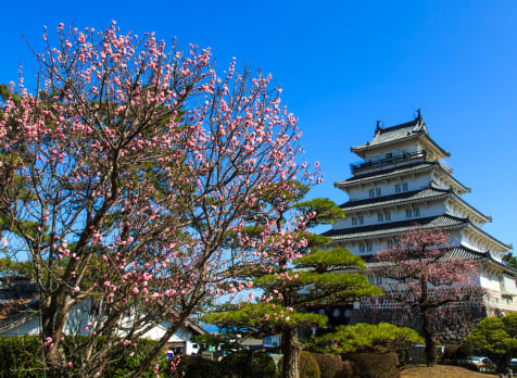 shimabara castle