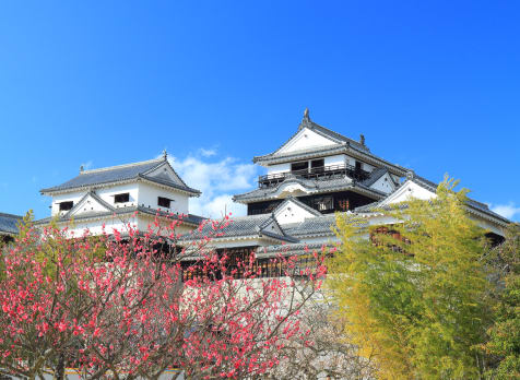 matsuyama castle