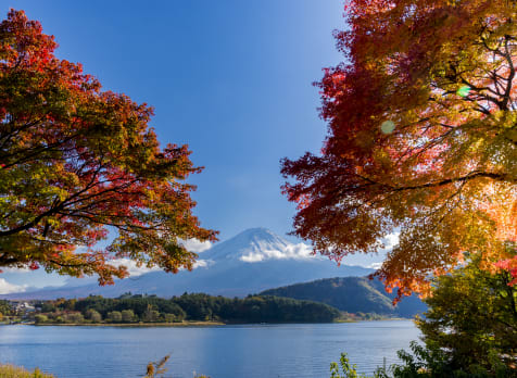 fuji five lakes