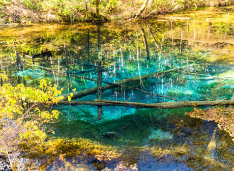 kaminoko pond