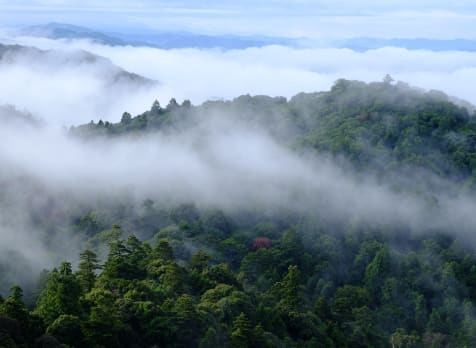 Mt. Kasuga-yama Area