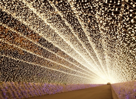 Nabana no Sato Winter Illumination