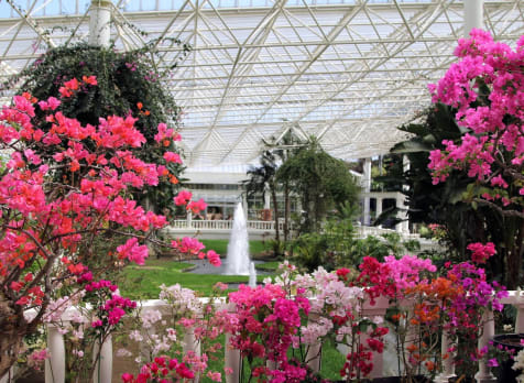Flower Park Kagoshima