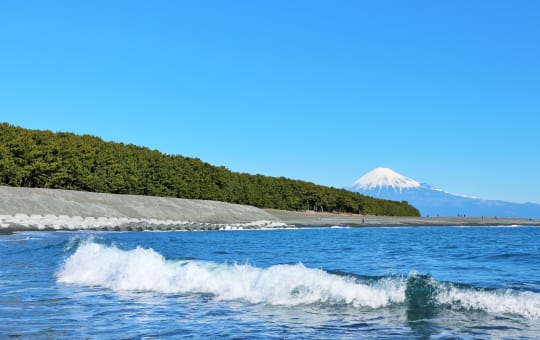 Miho-no-Matsubara Pine Grove