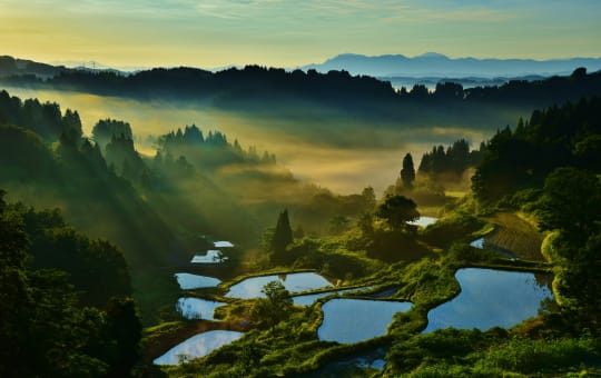 terraced rice fields in kamou