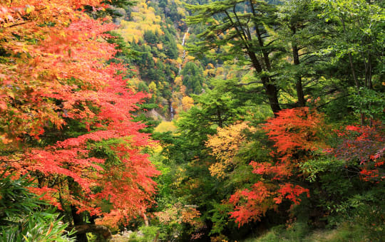 Kinugawa Onsen Oku-Kinu Area