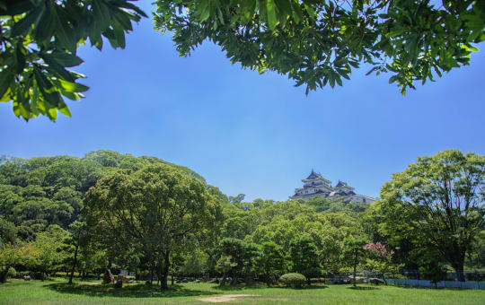 Wakayama Castle