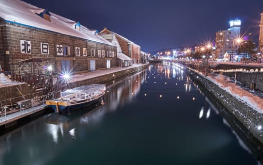 Otaru Snow Light Path