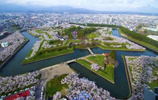 goryokaku fort